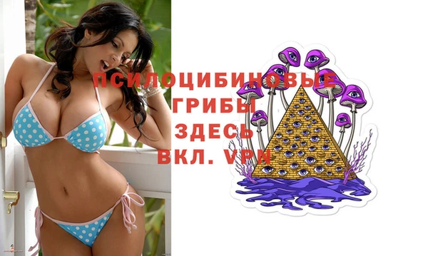 первитин Алексеевка