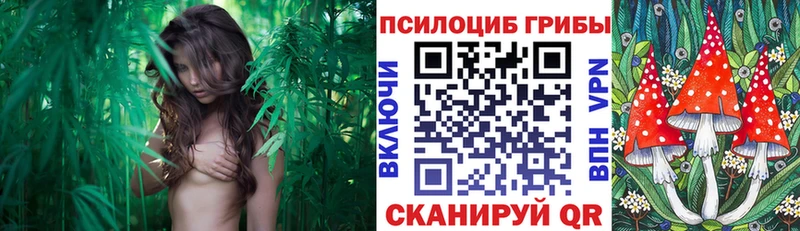МЕГА зеркало  Миллерово  Псилоцибиновые грибы MAGIC MUSHROOMS 